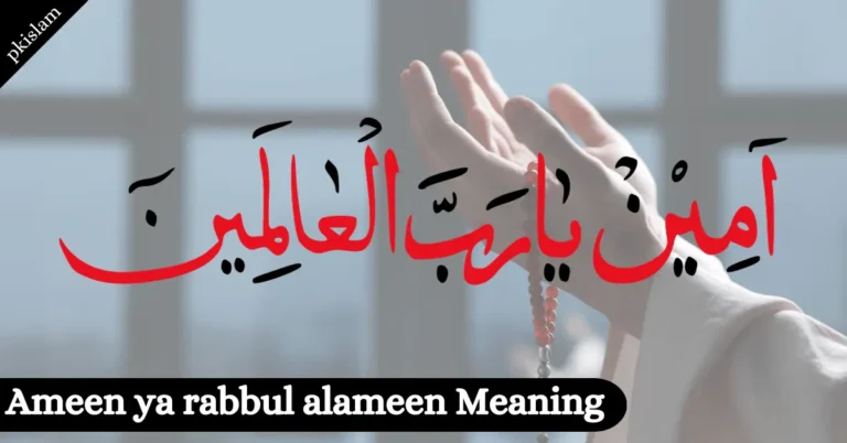 Ameen ya rabbul alameen Meaning In Arabic & In other Languages